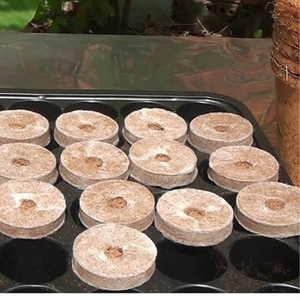 Việt Nam <span class=keywords><strong>Coco</strong></span> than bùn PELLET xơ dừa đĩa than bùn trồng/<span class=keywords><strong>Coco</strong></span> than bùn máy làm/<span class=keywords><strong>Coco</strong></span> than bùn chip Khối Nhà sản xuất eco2go Việt Nam - Product Image 2