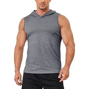 Haute qualité 100% coton Terry poids lourd épais pull hommes Style décontracté sans manches à capuche personnalisable impression sweats à capuche vierges - Product Image 1