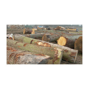 Madera de roble y haya, leña de troncos/manglares, leña de madera dura en venta, leña de madera dura, leña de abedul, roble y - Product Image 4