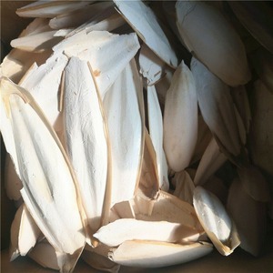 Vente en gros au prix le moins cher os de seiche de haute qualité os de seiche pour la nourriture des oiseaux du Vietnam - Product Image 6