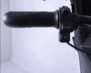 Tricycle électrique à 3 roues pour adultes, neuf, avec cabine pour passagers, catégorie électronique grand public - Product Image 3