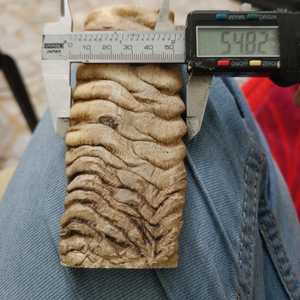 Artesanía de calidad de exportación de gran tamaño Ram Horn Scale Plate Knife Handle Sheep Horn Scale Making Smarkexports - Product Image 3