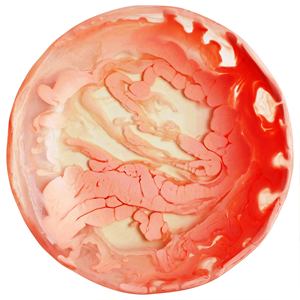 Bol en résine transparente à tons profonds, fait à la main, écologique, durable, vaisselle décorative pour la cuisine, la table à manger, les fêtes - Product Image 3