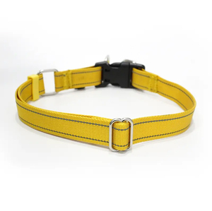 Collar de Perro de Nailon Reflectante Ecológico de la Mejor Calidad al por Mayor, 2.0 cm, con Estampado de Rayas Multicolores, Decoración de Plumas - Product Image 4