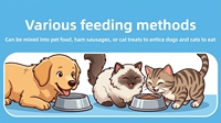 Complément alimentaire pour animaux de compagnie, comprimés à mâcher probiotiques avec lécithine pour chiens et chats, fabrication directe OEM/ODM