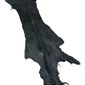 越南鸵鸟脚皮革鸵鸟皮装饰真皮