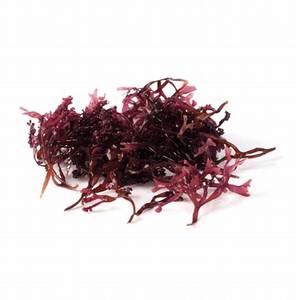 สาหร่ายสีขาวตากแดดคุณภาพสูงจากเวียดนาม: ธรรมชาติพร้อมส่งออกและคุ้มค่า - Product Image 3