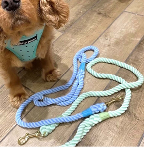 Natural Nautical Dog <b>Leash</b> Cotton Rope Dog <b>Leash</b> Braided Cotton Dog <b>Leash</b> Walking Dog <b>Leash</b> <b>Pet</b> Wedding Soft Dog Lead Best - Product Image 3
