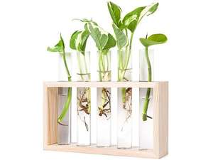 High Quality Modern Style Wooden Vase with Elegant Glass Tube Luxury Natural Finish for Decorative Tabletop Use - Product Image 3