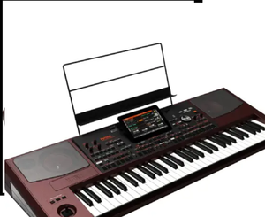 MEJOR PRECIO Teclado de piano digital Korg Pa1000 Hecho en EE. UU. - Product Image 1