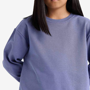 Sweat-shirt en tissu polaire doux en coton chaud et léger Vêtements décontractés Impression/broderie de logo personnalisé Manches longues Design 2026 - Product Image 3