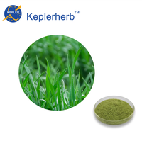 Poudre d'herbe d'orge pure naturelle à base d'extraits végétaux, qualité santé, emballage en fût, vente chaude du fabricant