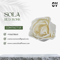 Harga Grosir Pabrik Mawar Sola Wood Bud Ramah Lingkungan, Mirip Asli, Berkualitas Tinggi, Serbaguna, Elemen Dekorasi Indoor/Outdoor, Halloween