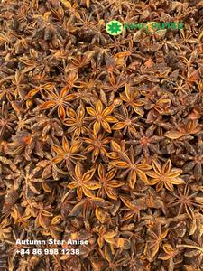 Anis étoilé, herbe à fleurs grandes, parfum riche, faible teneur en impuretés, humidité standard, qualité alimentaire, export, Vietnam - Product Image 6