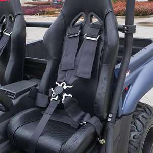 Véhicule utilitaire électrique certifié EEC, 2 places, 4 roues motrices, batterie au lithium - Product Image 6