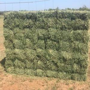 Granulés et balles de foin d'alfalfa de haute qualité, sac de 25 kg, origine DK, pour l'alimentation des chevaux, des bovins et des porcs, à vendre - Product Image 1