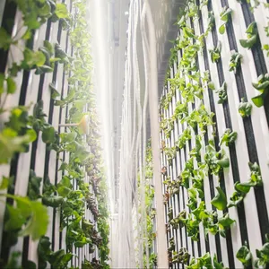 Fabrika kaynağı 40ft akıllı sebze MICROGREEN yetiştirme odası sera çiftlik konteyner AQUAPONIC hidroponik