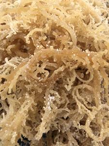 Musgo de mar de alta calidad de origen sostenible, musgo de mar seco natural, musgo de mar a granel al por mayor de Vietnam - Product Image 5