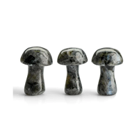 Haute qualité cristal champignon Larvikite Gua Sha corps naturel grattage outil de Massage visage pierre précieuse champignon en gros