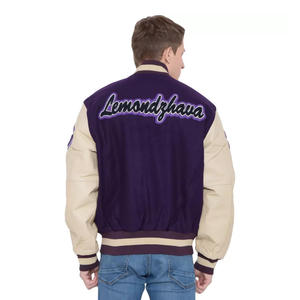 Blousons universitaires d'hiver pour hommes fabriqués en usine, avec patchs brodés personnalisables sur le devant, 100 % polyester, style urbain - Product Image 4