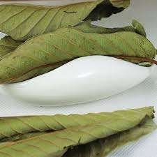 Feuilles de goyave séchées de haute qualité fabriquées au Vietnam - Product Image 3