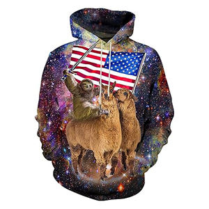 Ropa de marca Sublimación personalizada Sudadera con capucha 380 GSM Sudadera con capucha Causal Wearing Hoody Winter Pullover - Product Image 1