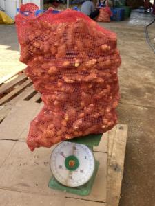 Caja de jengibre fresco 10kg Jengibre fresco terroso y aromático - Product Image 5