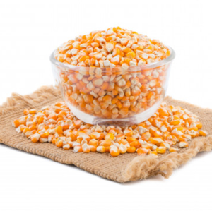 Granos de Maíz Amarillo Seco/Maíz Blanco al Mejor Precio, Suministro a Granel para Alimentación Animal y Procesamiento de Alimentos, Libre de Impuestos - Product Image 6