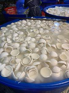 เนื้อมะพร้าวแช่แข็งแช่แข็งมีรสชาติสดใหม่มีความต้องการสูง // ผู้ขายที่ดีที่สุดและคุณภาพสูงจากเวียดนามส่งออกจำนวนมาก - Product Image 5