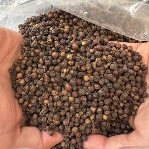 Poivre noir de qualité supérieure, grade FAQ 500-600 GL - Origine Vietnam |   Vente en gros et en vrac |   Approvisionnement en provenance d'usine |   Prix préférentiel (J) - Product Image 2