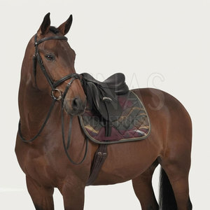 Tapis de selle de dressage légers et personnalisables de qualité supérieure, anatomiques, matelassés, anti-humidité, équipement d'équitation - Product Image 5
