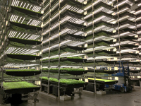 Système d'agriculture verticale en conteneur pour serre agricole, solution de culture hydroponique intérieure avec pompe haute rigidité