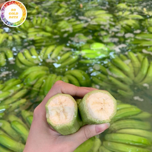 Bananes Fraîches de Haute Qualité pour l'Exportation vers les Grossistes de Doha, Utilisant des Fruits Tropicaux Sélectionnés du Vietnam par 99 Gold Data - Product Image 1