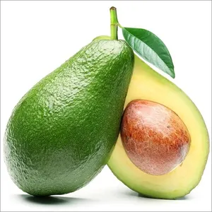 Tropikal meyve taze meyve avokado taze avokado yeşil tropikal meyve Viet Nam ihracat için yüksek kalite ile yapmak
