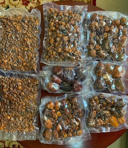 Proveedor a Granel de Cálculos Biliares de Buey Naturales Premium |   Cálculos Biliares Bovinos de Alta Calidad para Exportación - Product Image 1