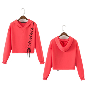 Women's Coral Cropped Hooded Sweatshirt Asymmetric Lace-Up Design Full Sleeve Knitted Solid Color Autumn Wear - Product Image 1