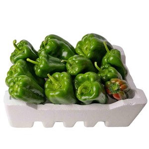 พริกหยวกสดออร์แกนิก - Product Image 4