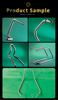 Dobladora de tubos servo automática del tubo de la máquina dobladora de tubos para silla y motocicleta