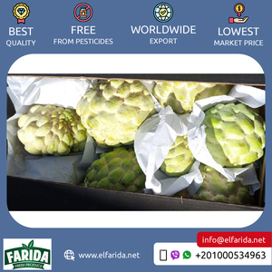 Bán buôn số lượng nhà cung cấp của chất lượng tốt ngon và hương vị ngọt ngào trái cây tự nhiên tươi mãng cầu táo từ Ai Cập - Product Image 3