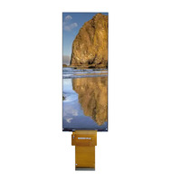 Suministro de fábrica Módulo LCD TFT de 6,2 pulgadas 360x960 píxeles con producto estándar de interfaz Mipi