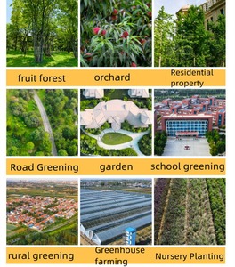 Trituradora de Madera Industrial Autopropulsada Caterpilla, con Motor Diésel, Maquinaria Agrícola de Alta Velocidad - Product Image 2