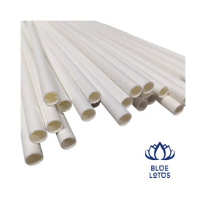 GEM Fait main - Paille en papier - Product Image 1