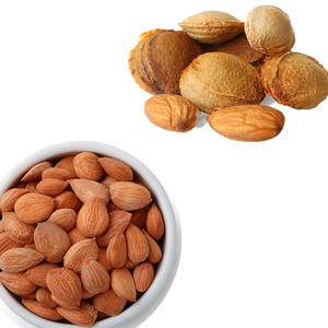 Noyau d'abricot | Idéal pour une utilisation dans les huiles pures pressées à froid - Product Image 5