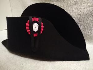 Austrian Office Infantry Line Model 1811 Napoleon black felt tricorn <b>hat</b> with gold trim and green feathers Bicone <b>Hat</b> - Product Image 5