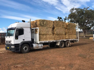 Botte d'alafa de haute qualité pour l'alimentation des animaux, botte d'allume, de papillon, de papillon à vendre - Product Image 3