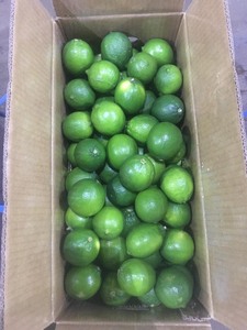 Chất lượng cao chanh tươi bán buôn Nhà cung cấp cung cấp số lượng lớn với giá cả cạnh tranh cho người mua - Product Image 5