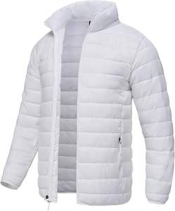 2025 hommes compressible léger hiver veste imperméable isolé vers le bas manteau col montant fermeture à glissière Sports de plein air manteau - Product Image 1
