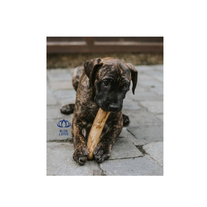 Bâton à mâcher en bois de café écologique de haute qualité pour animaux de compagnie – Matériau durable pour le jeu actif et la durée de la mastication - Product Image 1