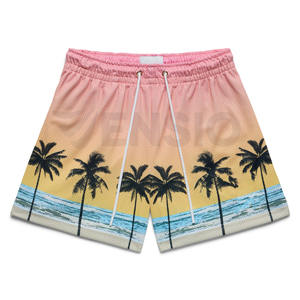 High Quality Breathable Quick Dry Men Basketball 100% Polyester Sublimation Double <b>Layer</b> Custom Logo Mesh Shorts Pockets Elastic - Product Image 4