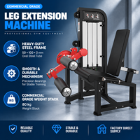 BN Fitness Studio Athletic Training Center Fitness Club Health Club Machine de flexion et extension des jambes assise